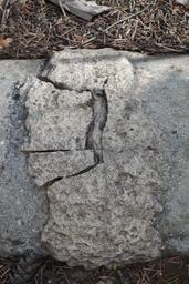 The ancient looking concrete water line from the lower spring [sat may 5 17:21:06 mdt 2018]